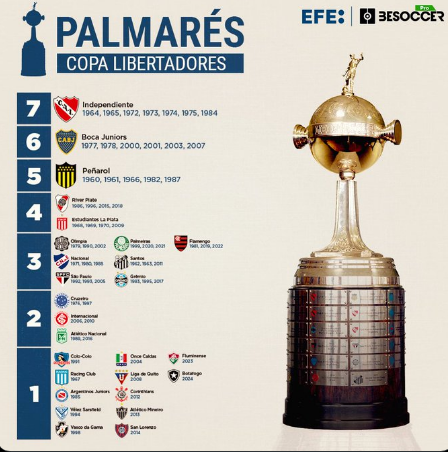 FOTO: copaamerica.com